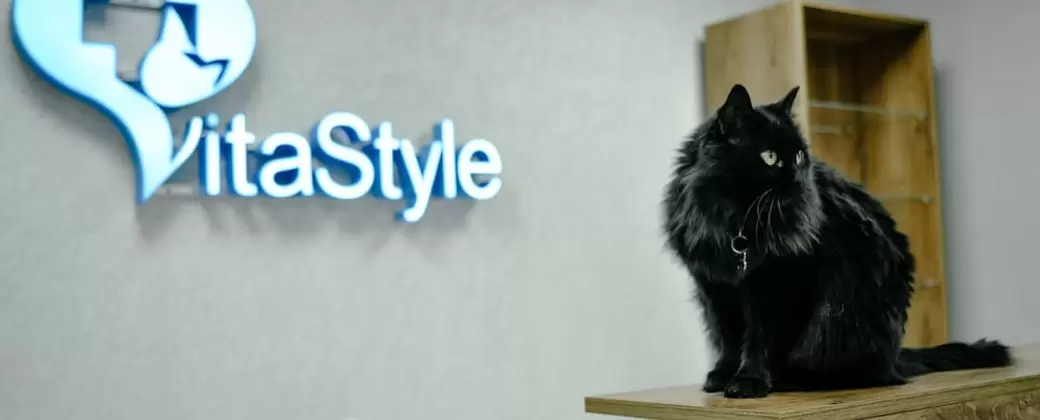 Груминг салон VitaStyle